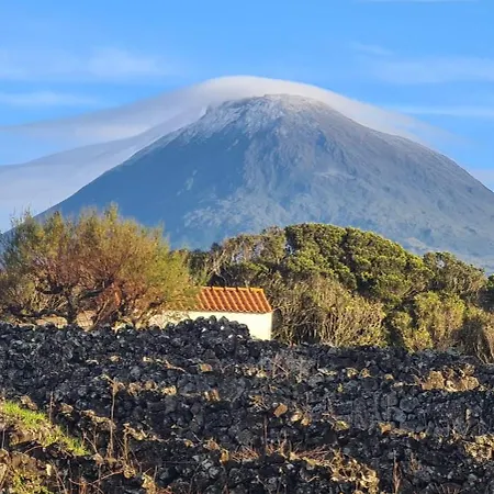 Azores Blue Bay Σπίτι διακοπών Madalena (Azores)